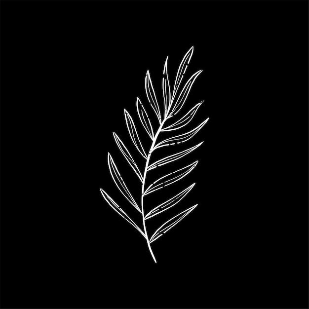 Free Vector illustration of plant