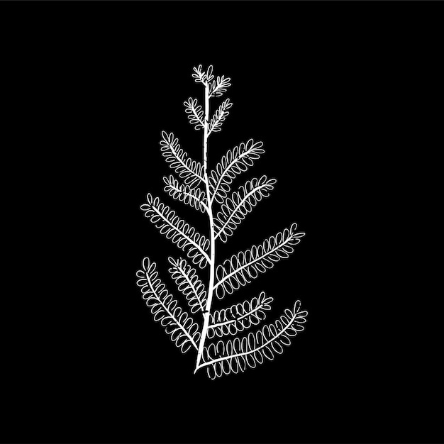 Free Vector illustration of plant