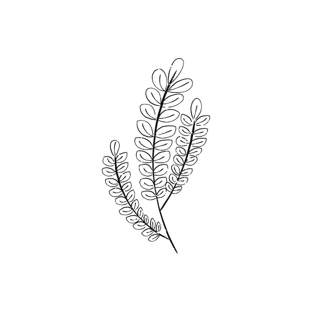 Illustration of plant