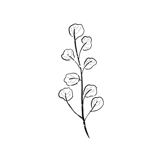 Illustration of plant