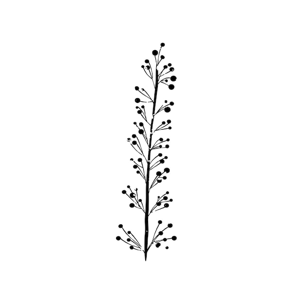 Illustration of plant