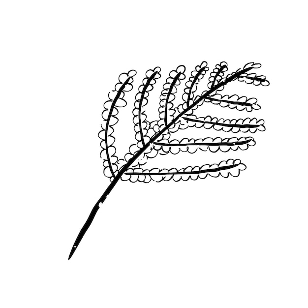 Illustration of plant