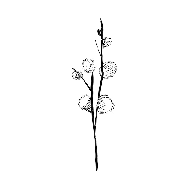 Free Vector illustration of plant