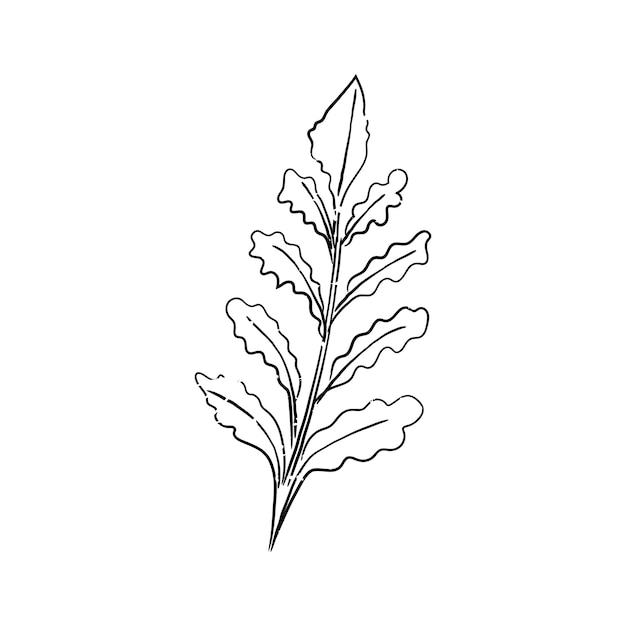 Free Vector illustration of plant