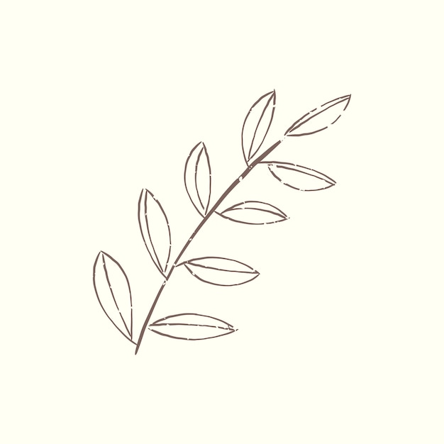 Illustration of plant