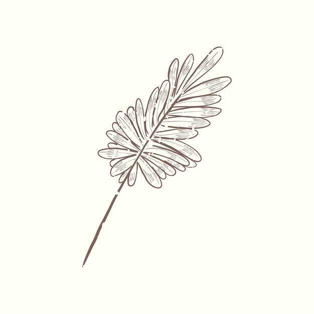 Free Vector illustration of plant