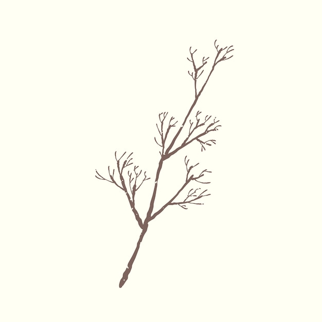 Free vector illustration of plant