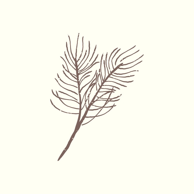 Illustration of plant