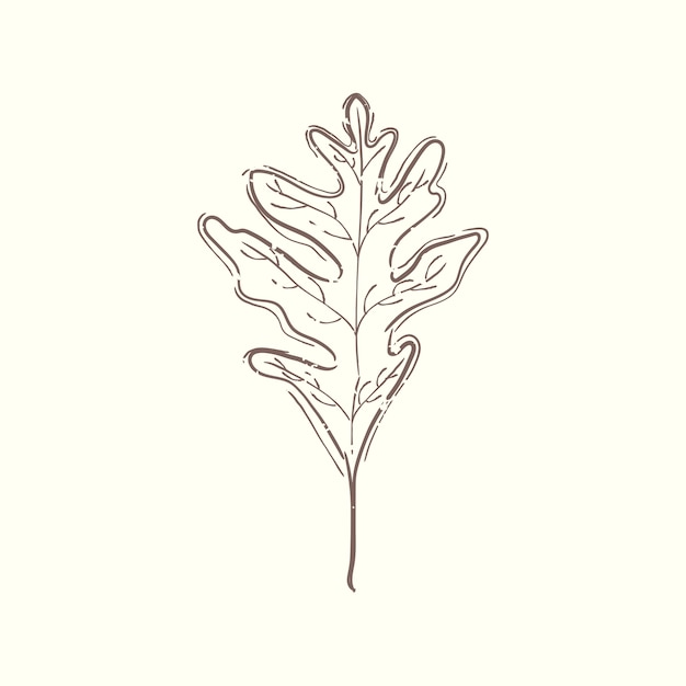 Illustration of plant