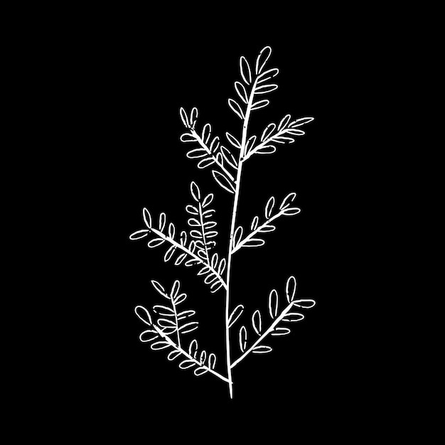 Free Vector illustration of plant