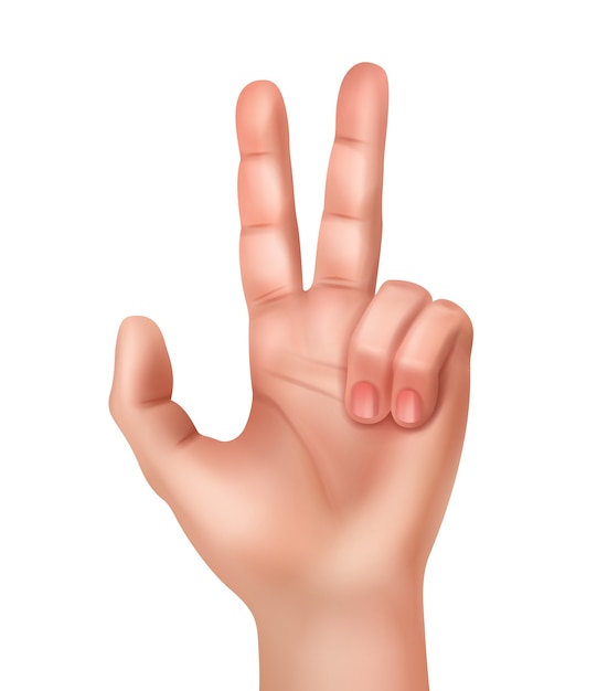 Free Vector illustration of realistic human hand showing victory sign