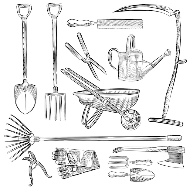 Free Vector illustration of a set of gardening tools