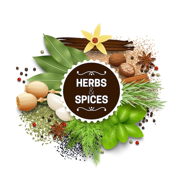 Free Vector illustration of set with different types of herbs and spices vector illustration