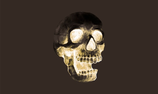 Free vector illustration of a skull icon for halloween