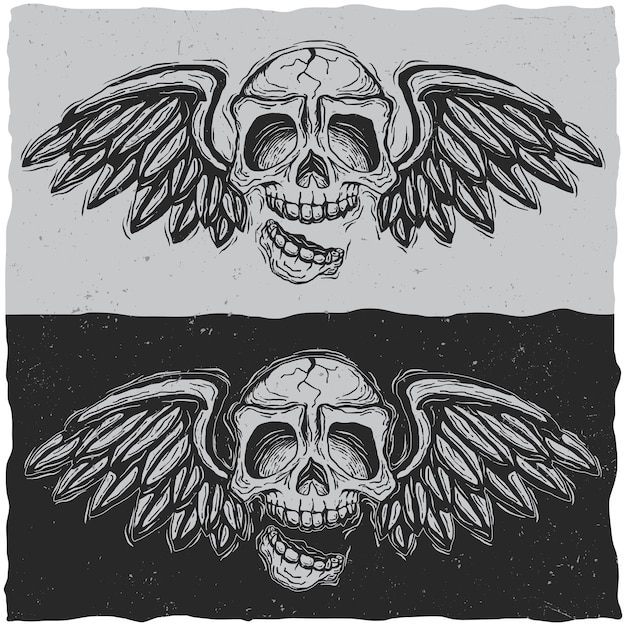 Free Vector illustration of skull with wings