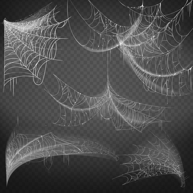 illustration of spider web of various shapes, white spooky cobweb