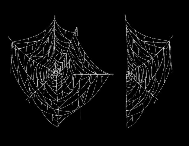 illustration of spiderweb, whole and part, white spooky cobweb isolated on black background. 