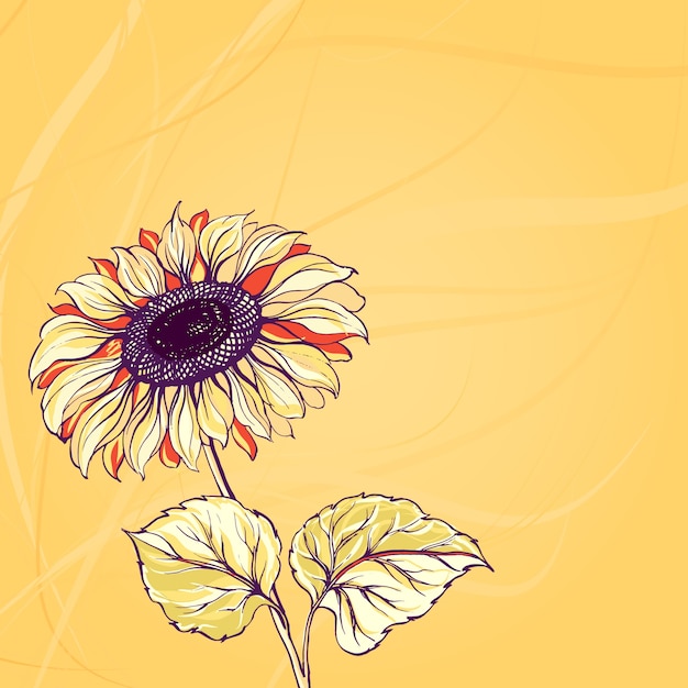 Free vector illustration of sunflower