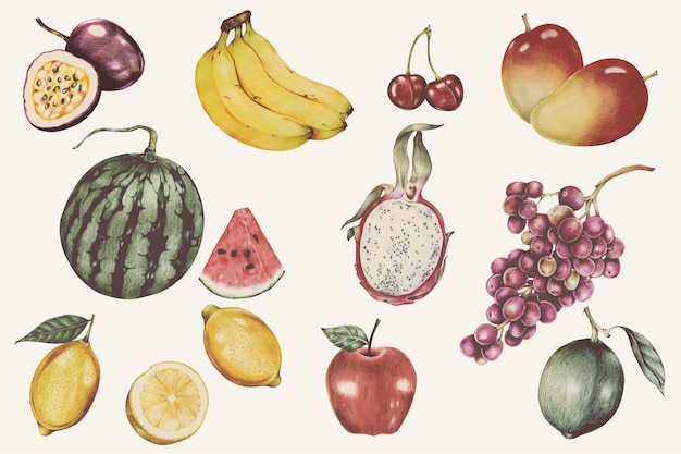 Free vector illustration of tropical fruits watercolor style