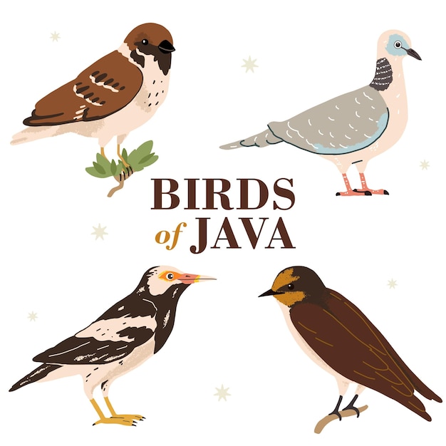 Free Vector illustration of various kinds of bird icons on the island of java