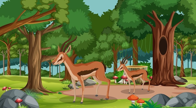 Free Vector impala group in forest at daytime scene with many trees