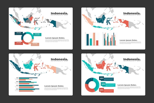 Indonesia map infographics