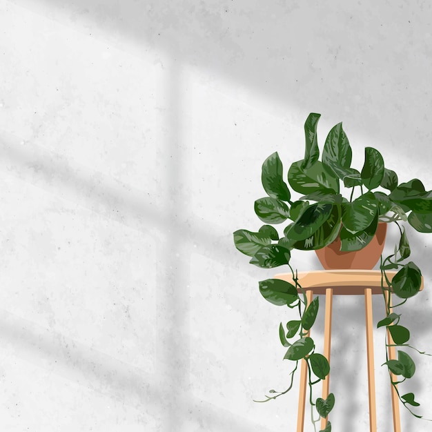 Free vector indoor plant background aesthetic vector, hanging pothos white wall with natural light