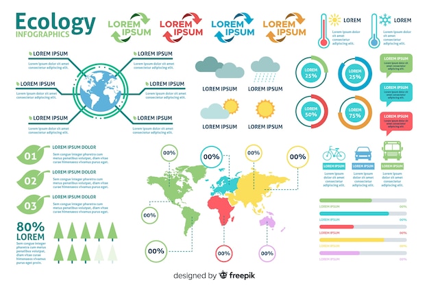 Infographic Data Template