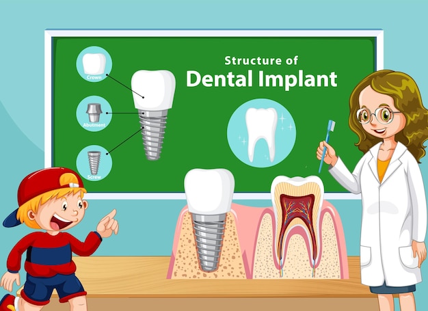 Infographic of human in structure of the dental implant