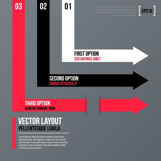 Free Vector infographic template design