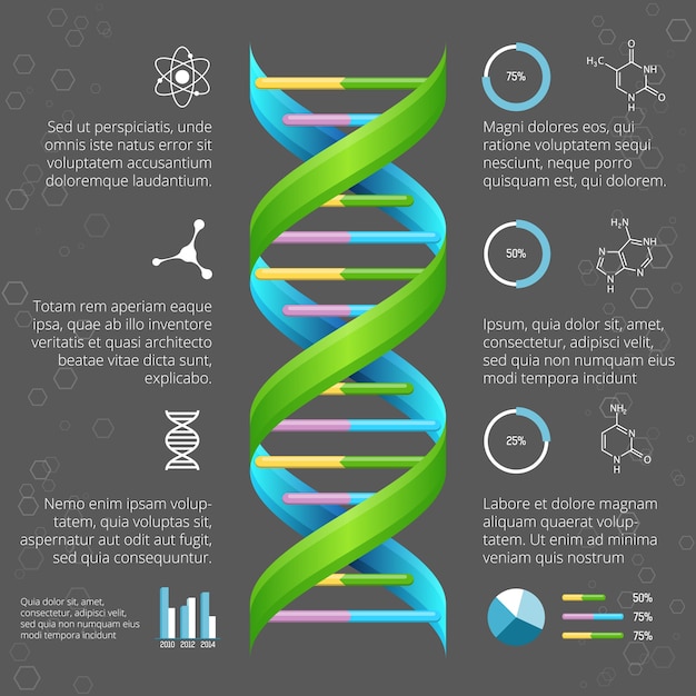 Free vector infographic template with dna structure for medical and biological research. genetic health, life evolution, model line helix