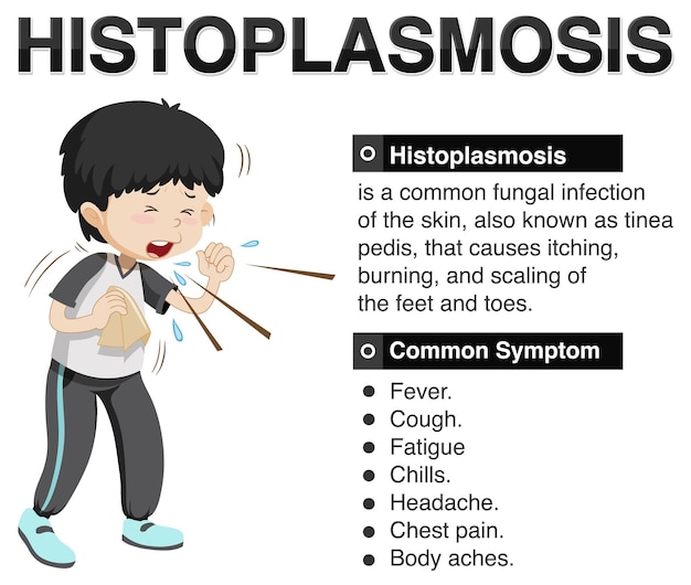 Free Vector informative poster of histoplasmosis