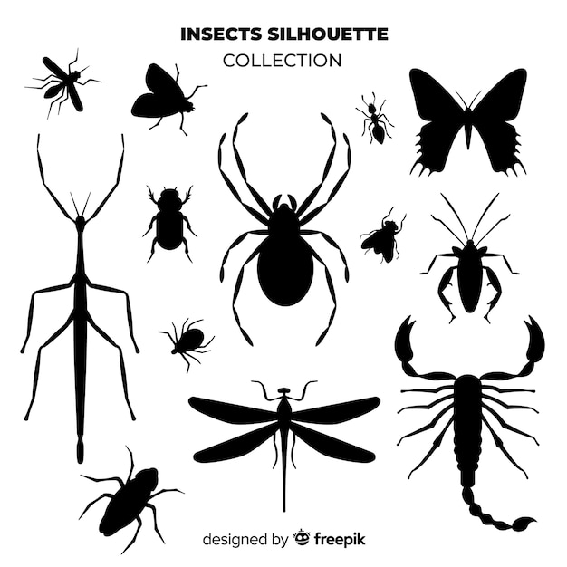 Insect silhouette collection