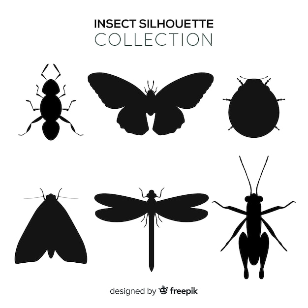 Insect silhouette collection