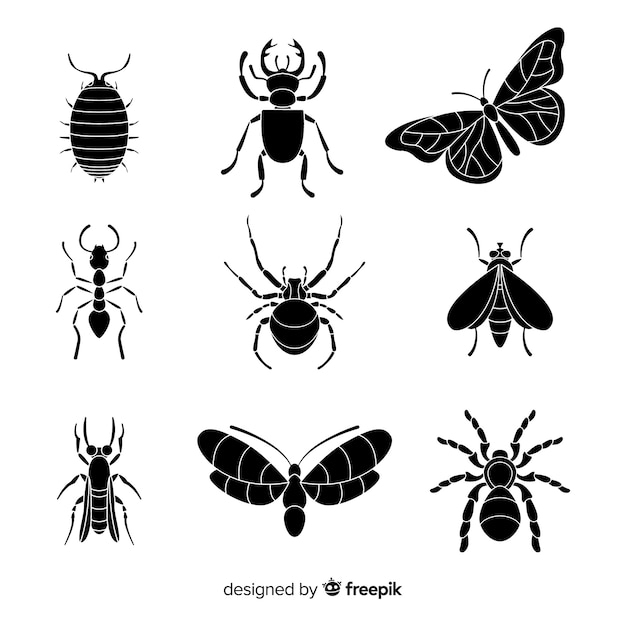 Insect silhouette collection