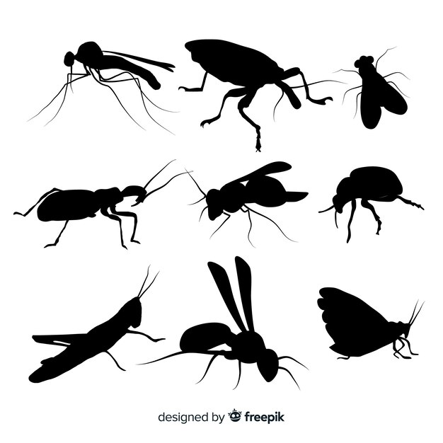 Insect silhouette collection