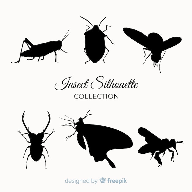 Insect silhouette collection