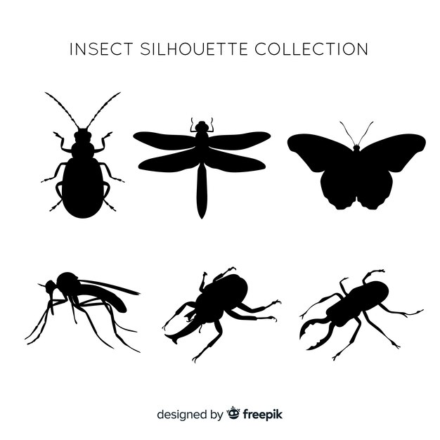 Insect silhouette collection