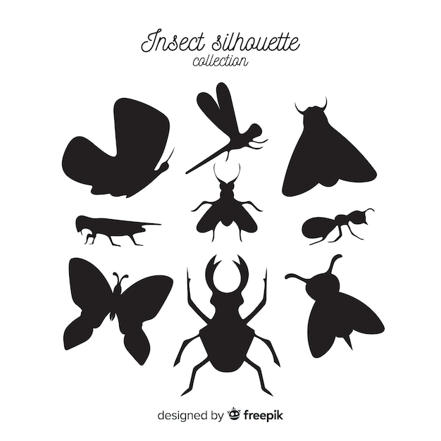 Insect silhouette collection