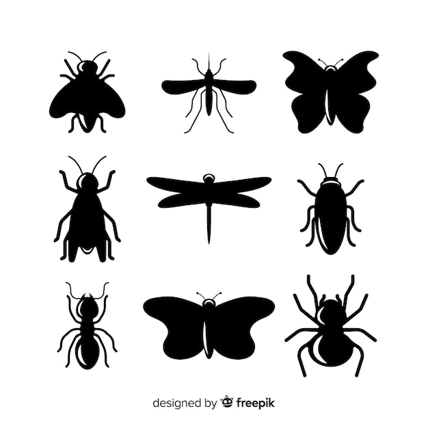 Insect silhouette collection