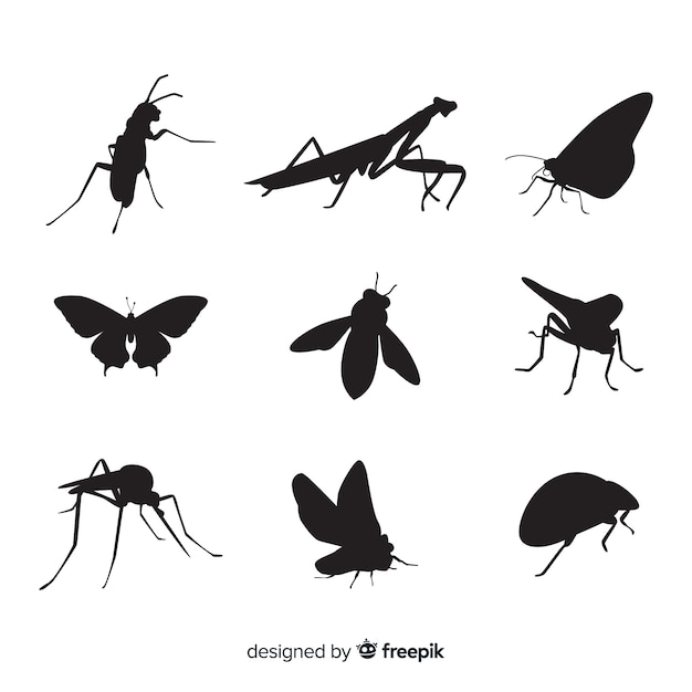 Insect silhouette collection