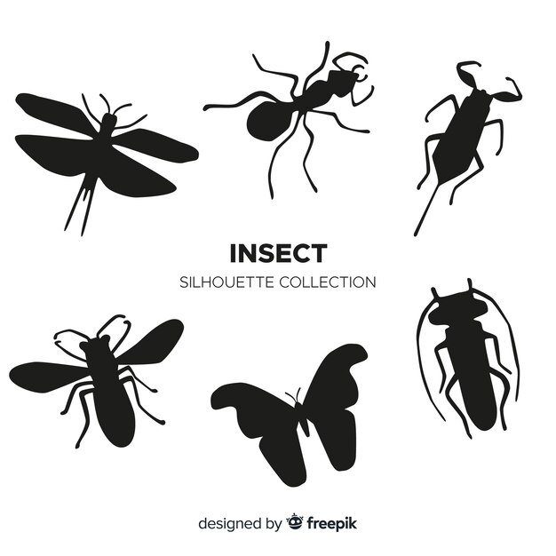 Insect silhouette collection