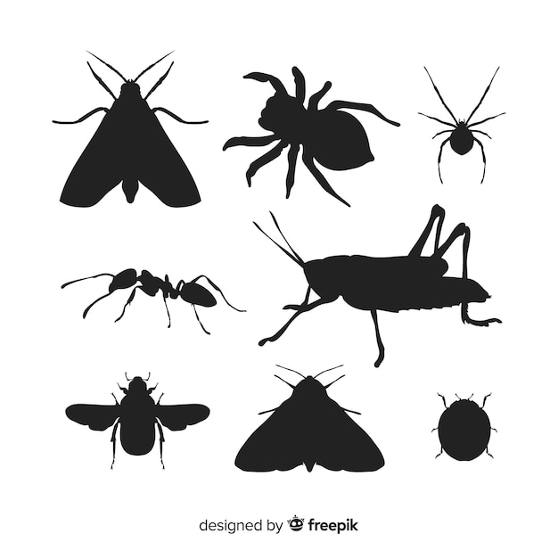 Insect silhouette pack