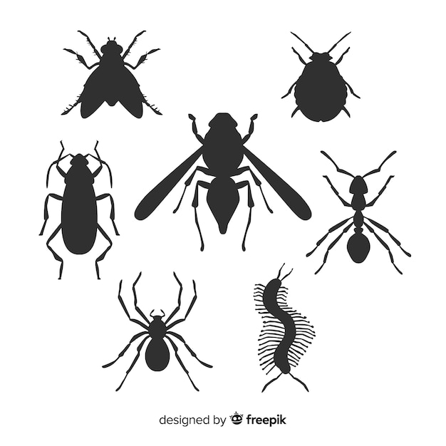 Insect silhouette pack