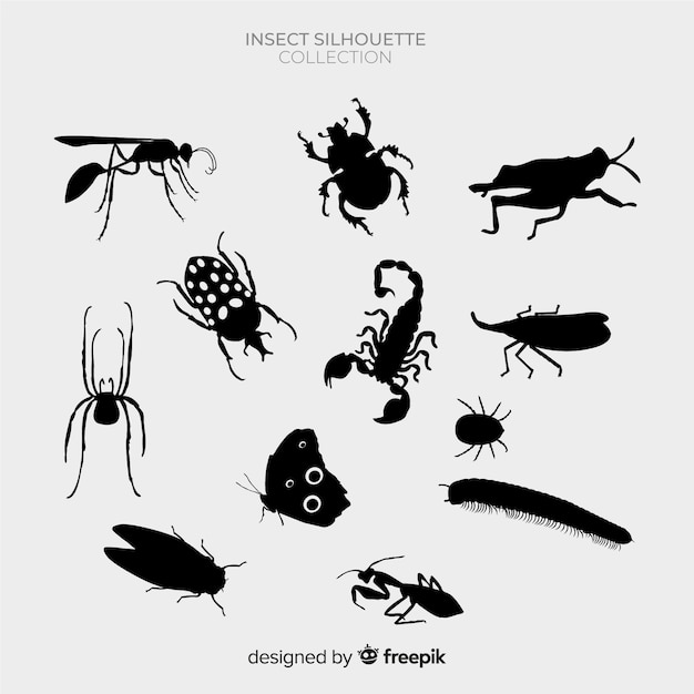 Insect silhouette pack