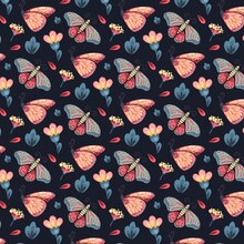 butterfly patterns