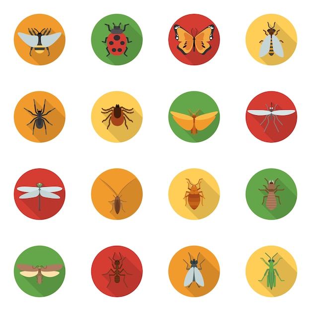 Insects Icons Flat