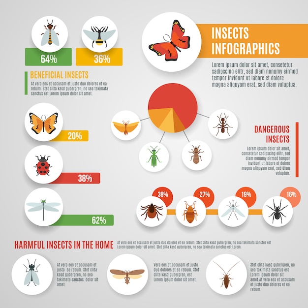 Free vector insects infographic set