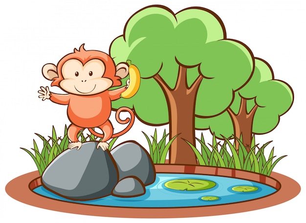 Isolated cute monkey 