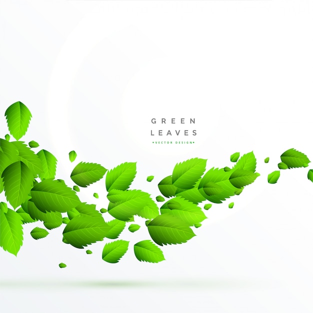 Isolated green leaves floating background